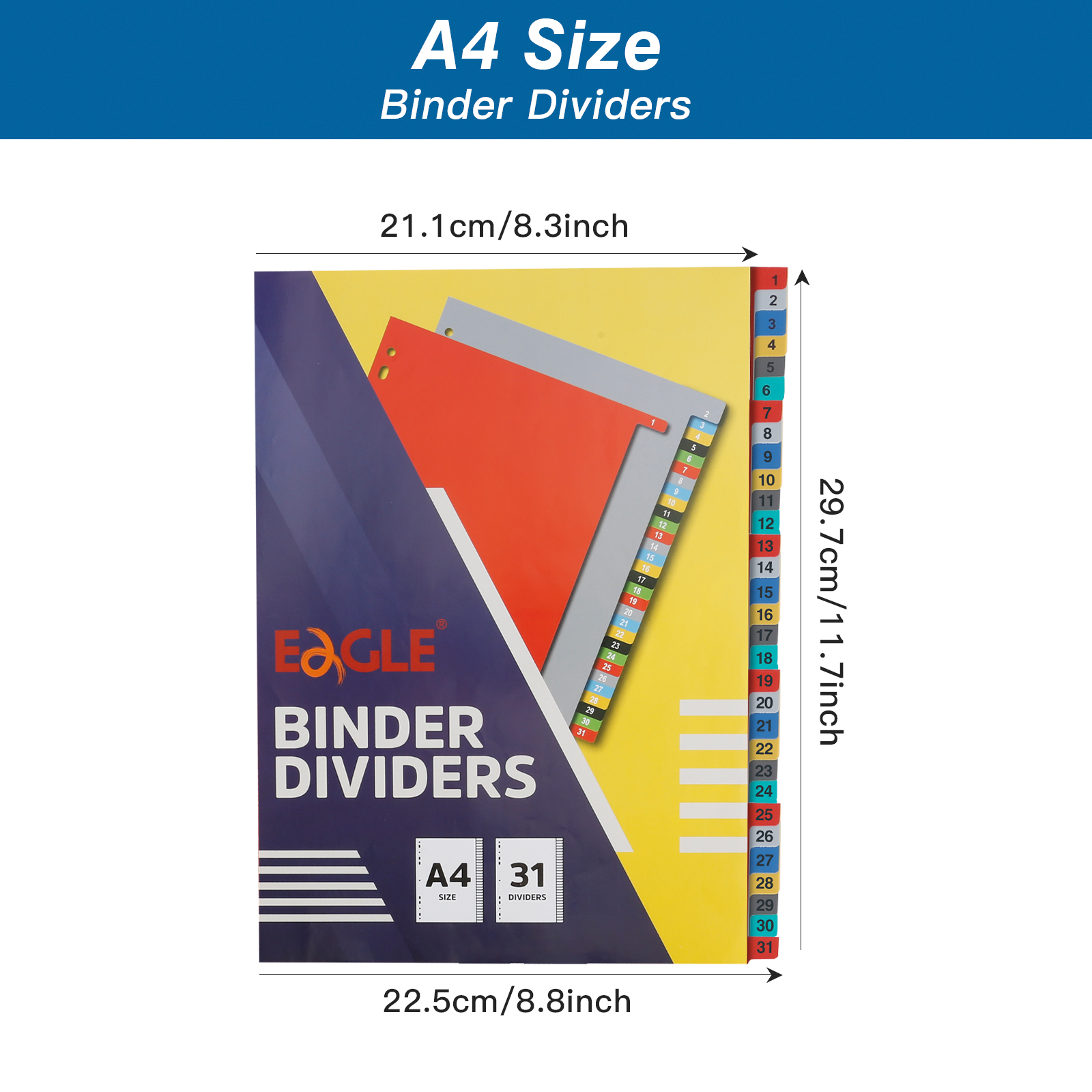 EAGLE A4 Binder Index Divider  - Binder A4 Lever 리뷰 및 가격