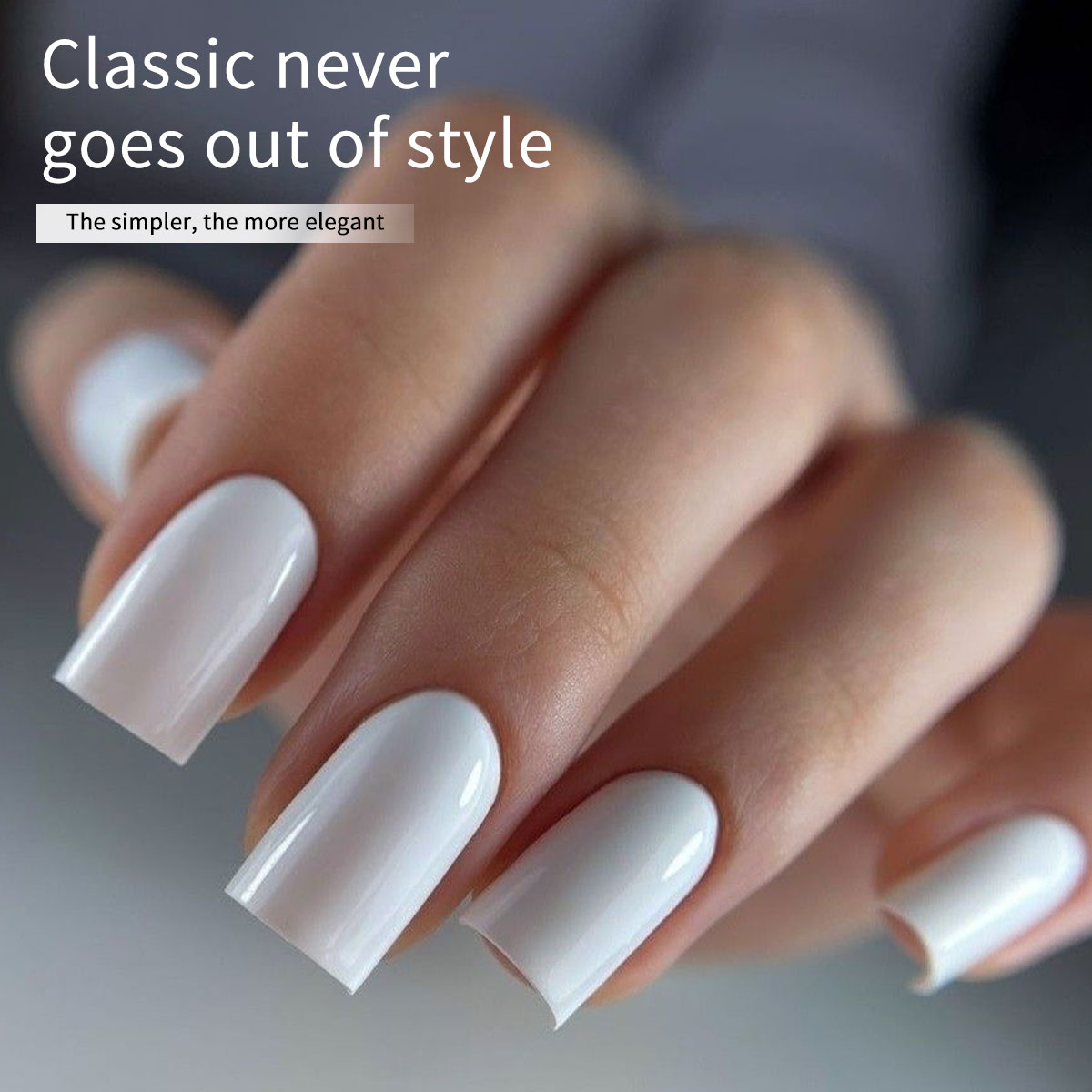 Hassleless 2-Pack Pure White + - Gel Refill Pack 리뷰 및 가격